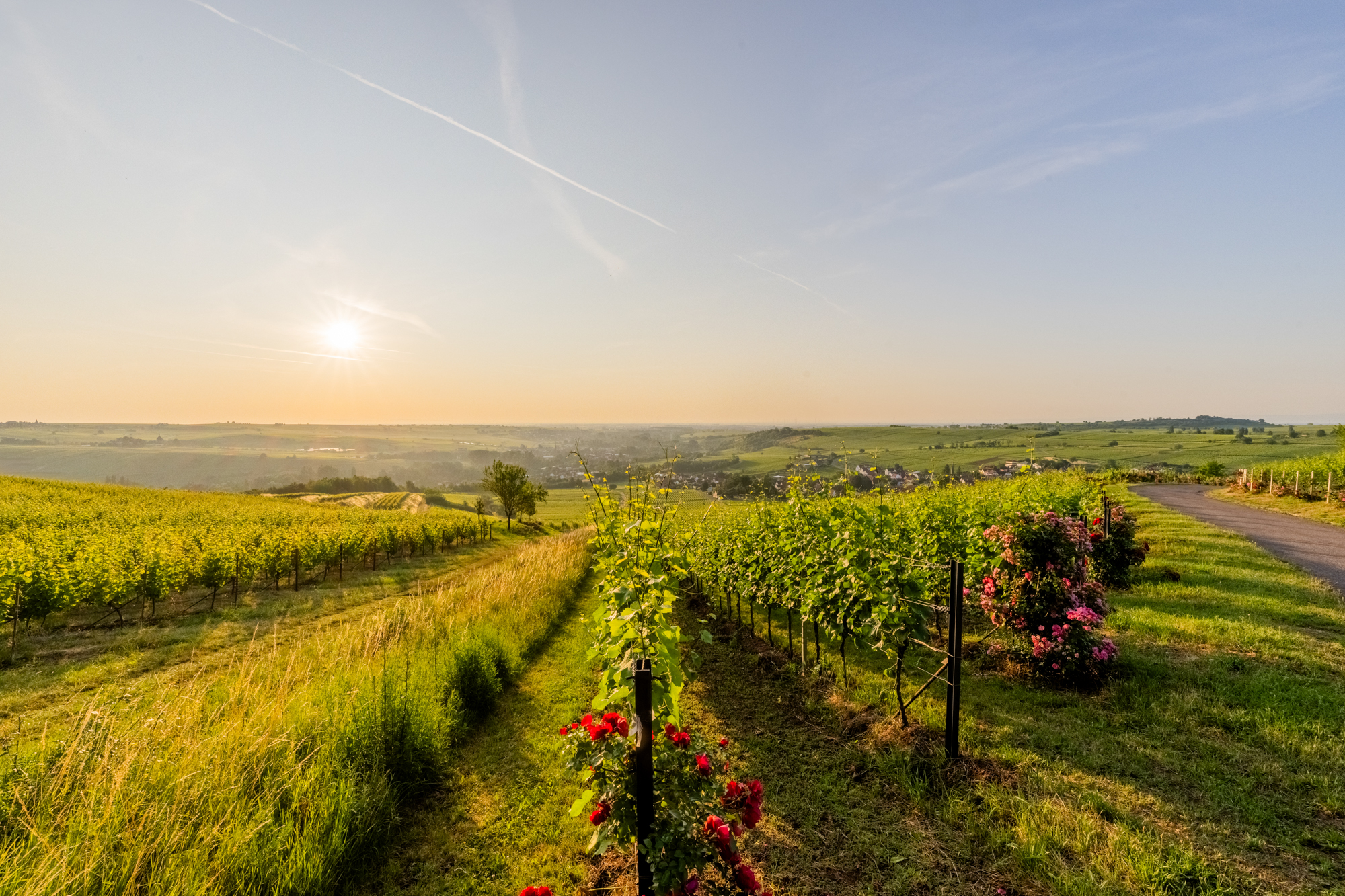 Gastraum im Schockes Laurentiushof Birkweiler – Atmosphäre beim Michelin-Stern-Menü