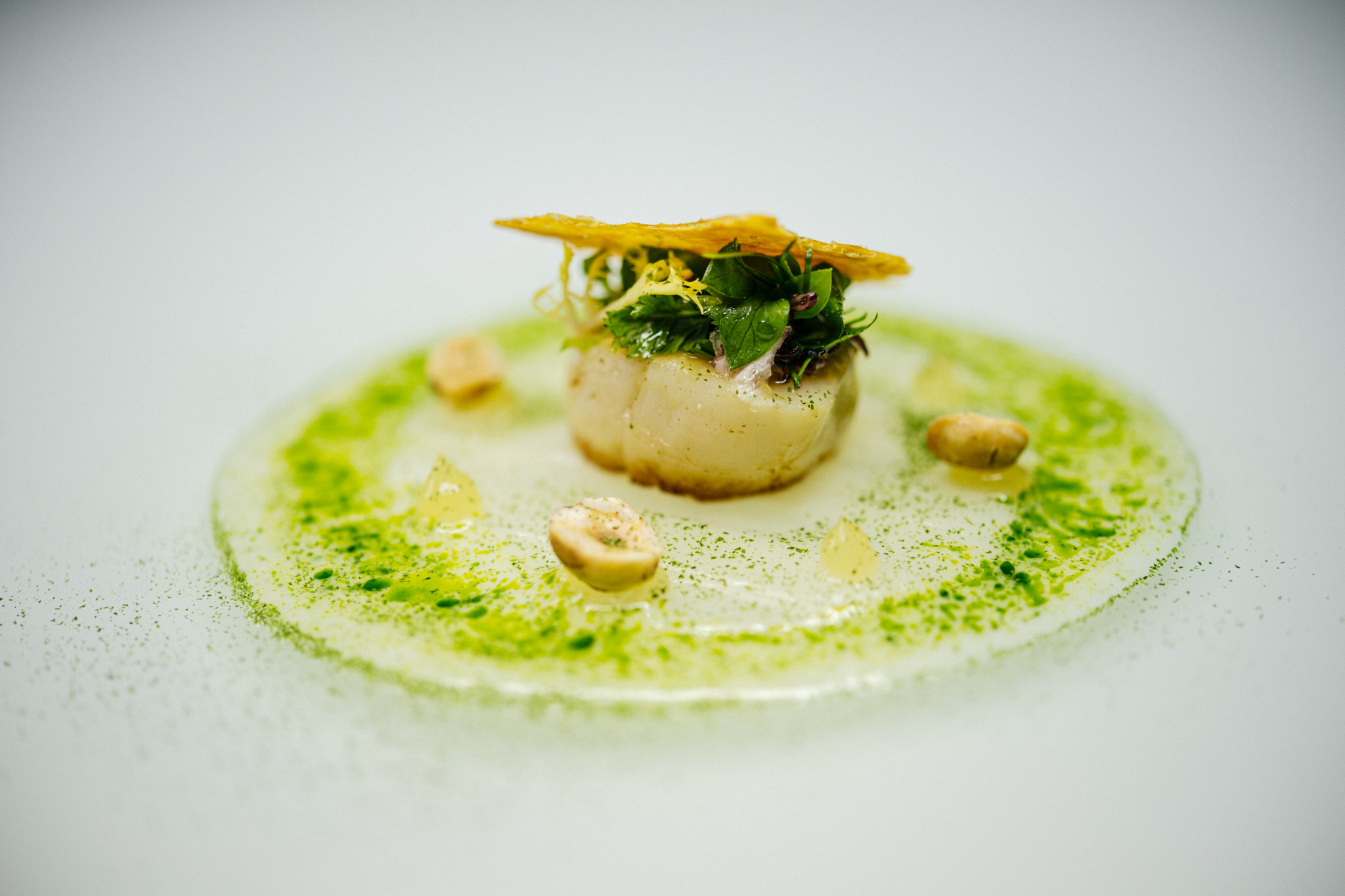 Gebratene Jakobsmuschel mit Kräuteröl – Sterneküche im Schockes Laurentiushof Birkweiler Pfalz
