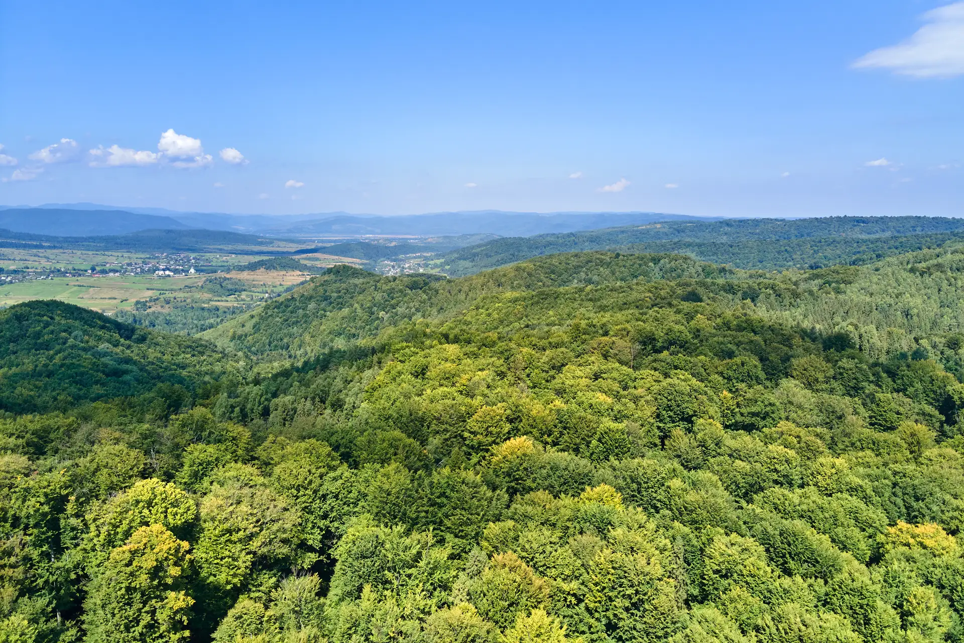 Wenn die Südpfalz erwacht: Wandern, Lamm & Bärlauch im Frühjahr